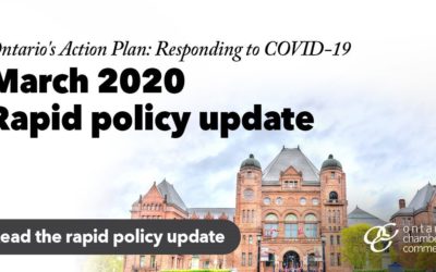 2020 Provincial Economic and Fiscal Update Provides Relief for Ontario Business and Employees