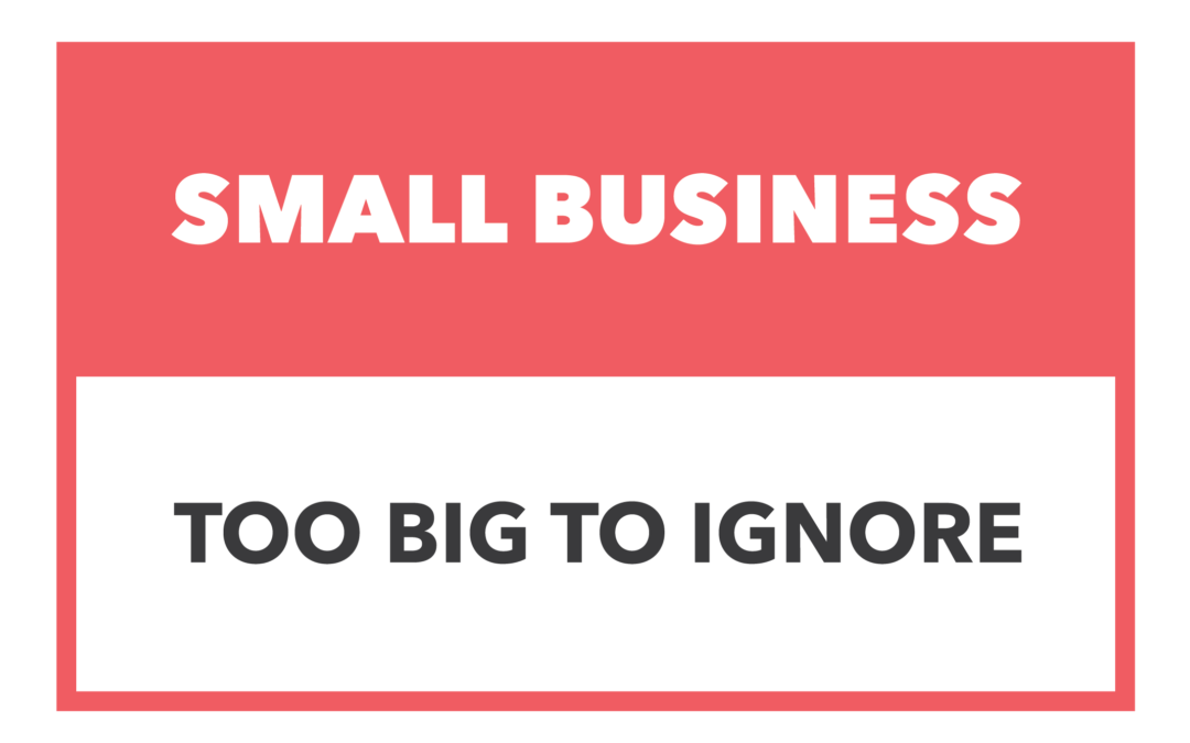 SMALL BUSINESS: TOO BIG TO IGNORE