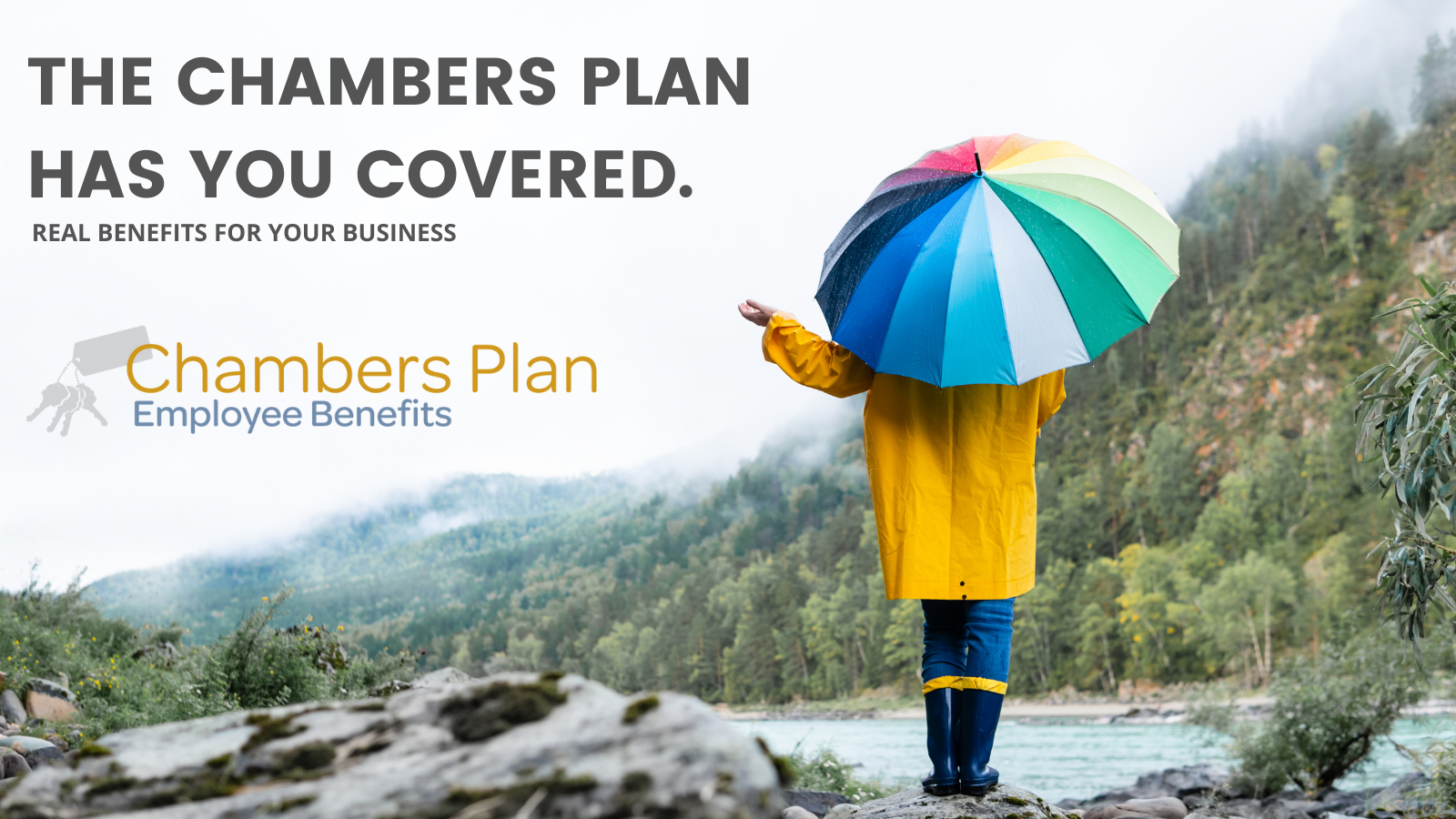 Chamber Plan Banner