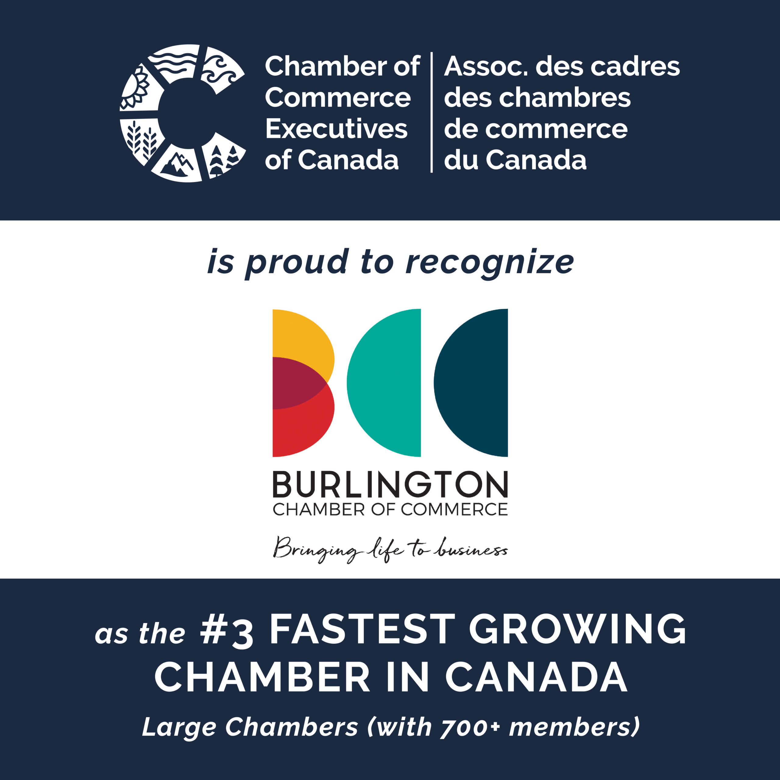 Burlington business community